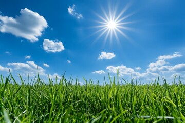 Fototapeta premium Summer sunny background with blue sky and green meadow