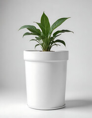 Self-watering flower pot with a built-in reservoir on a white background.