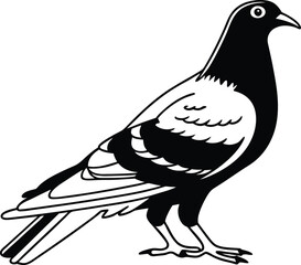 Obraz premium A beautiful bird illustration design silhouette eps