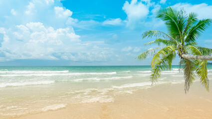 Tropical beach background, summer beach, nature background