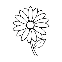 A clip art of daisy flower outline on white background
