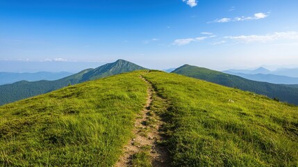 Fototapeta premium Serenity in Nature: Scenic Pathway Through Lush Green Hills Under an Expansive Blue Sky