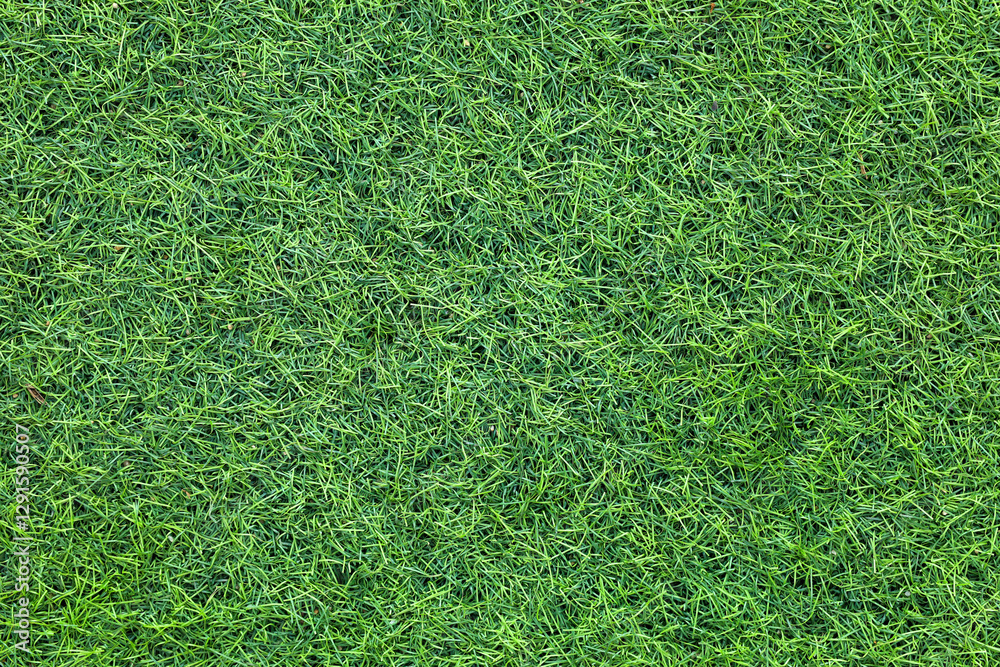 Canvas Prints top view artificial grass background