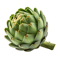 a-fresh-artichoke-with-tightly-packed-leaves-and-a (2)