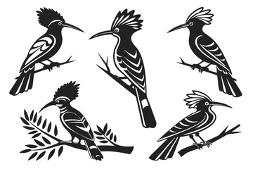 set of Hoopoe Bird silhouette vector illustration © tanvir