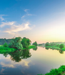 Calm river with a tree in the foreground