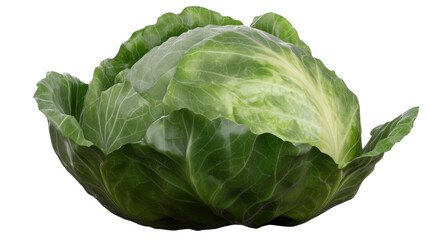 fresh green cabbage 3d render icon isolated on white background 