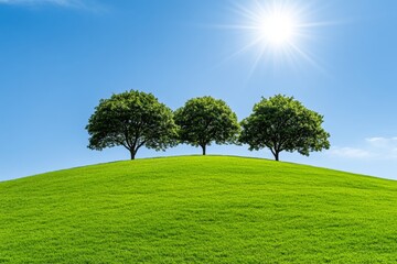 Fototapeta premium A row of trees on a grassy hill, a clear blue sky, a bright sun shining overhead, green tree leaves, and a green meadow