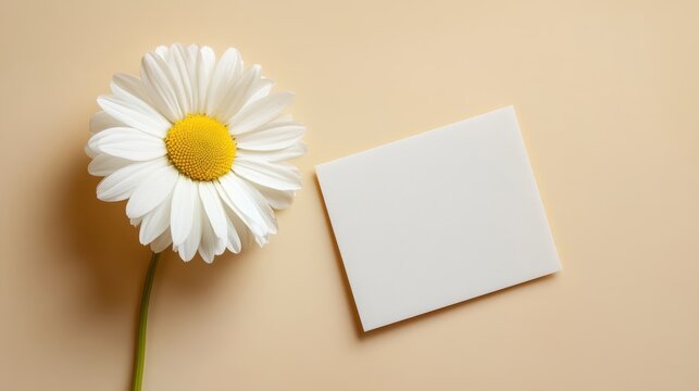 A beautiful white daisy flower sits gracefully beside a blank card, all resting on a soft beige surface, perfect for writing personalized messages or heartfelt notes