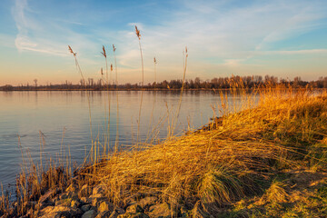 View from the bank of a wide river on a windless winter day. The sun is low in the sky and the orange light shines over the reeds at the water's edge.
