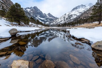 Abstract winter landscape with fog and snow along the river in a misty forest. Winter scene of trees lining a small stream in heavy white fog. Panoramic view of a nature background