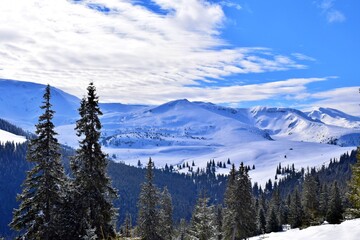 Impressive winter in snow covered Carpathian mountains with fir trees. Snowy winter landscape. Maramures Romania