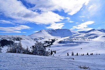 Fototapeta premium Impressive winter in snow covered Carpathian mountains with fir trees. Snowy winter landscape. Maramures