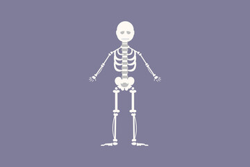 Human body anatomy concept. Colored flat vector illustration isolated