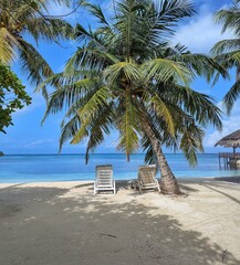 Wooden deckchairs sit on the white sand beach of the Maldives, facing the crystal-clear ocean waters
