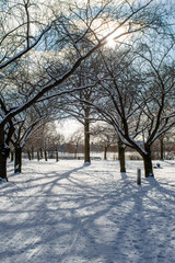 An der Alster in Hamburg im Winter in Hamburg mit viel Schnee und Schneeflocken in der Luft

