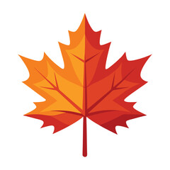 A vector illustration of Red Maple Leaves isolated on white background
