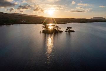 Backlit Lough Bofin’s tree island glows, last sunlight on calm waters, Connemara, Ireland