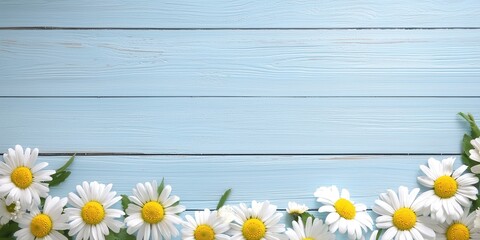 Obraz premium Happy Spring Flowers Background. Bright daisies on a rustic blue wooden surface create a cheerful, natural atmosphere.