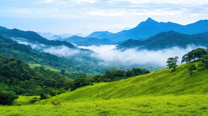 Fototapeta premium Misty Green Hills with Fresh Air and Mountains in the Background