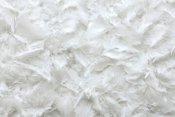 Fototapeta premium White fluffy texture background, close-up
