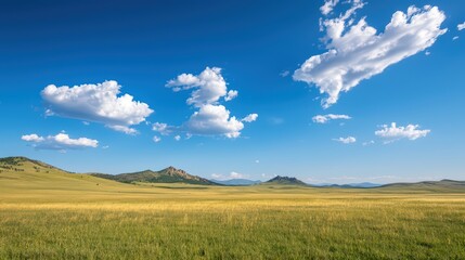 Obraz premium Beautiful Open Field Under a Gentle Breeze and Blue Sky