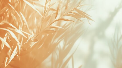 Abstract Botanical Art: A delicate dance of light and shadow across abstract botanical elements, creating an atmosphere of calm and tranquility.