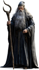 Epic sorcerer's confrontation enchanted forest fantasy art magical realm front view power and wisdom