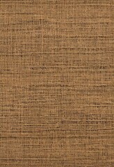 The texture of woven and intersecting fibers and threads