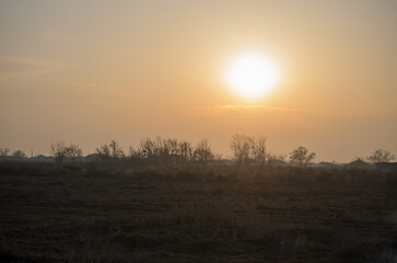 the setting sun over a field, trees and roofs of houses