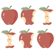 Nice vector depicting two rows of apples, one whole apple, one slightly bitten and one bitten, on a transparent background