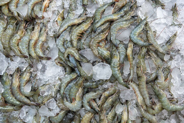 Top view. Pile of fresh banana shrimp in ice tray freeze for sale at thai seafood market.