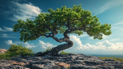Tree with Strong Trunk and Leaves 