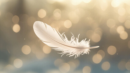 Naklejka premium Delicate White Feather Floating – Soft Light, Tranquil Atmosphere & Gentle Movement