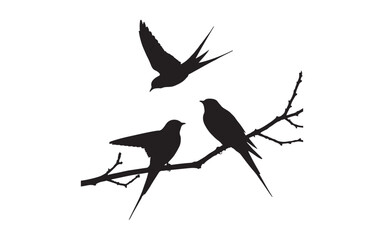 silhouette of a bird