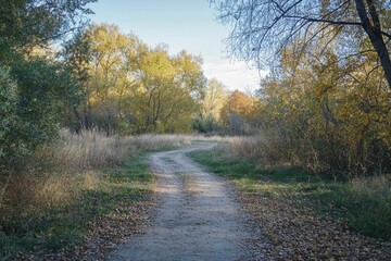 Fototapeta premium Two paths diverging in nature, blank background.