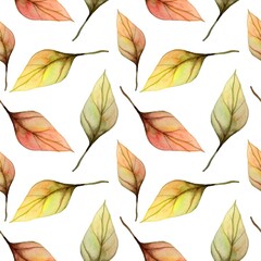 Obraz premium Unique watercolor pattern of autumn leaves against a clean white background showcasing vibrant colors and intricate details