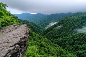 Naklejka premium A misty mountain forest scene with dark, overcast skies, evoking an ethereal and mysterious mood