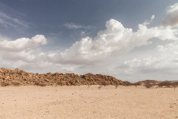 Landschaft in der Sahara