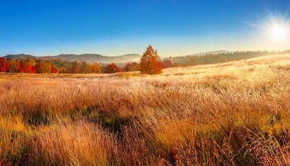 autumn landscape in the mountains