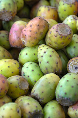 Closeup of fresh raw Prickly Pears cactus (opuntia) fruit on a market stall in Madeira