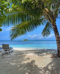 A picturesque beachfront in the Maldives, with crystal-clear waters, soft white sand, and tropical palm trees