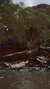 redwall reflection in Colorado River