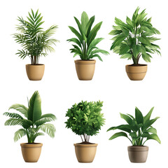 Fototapeta premium A set of realistic potted plants transparent background PNG