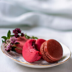French fruity macaroons in red and pink.