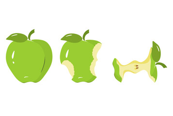 Vector depicting three juicy green apples, one whole and the other two bitten
