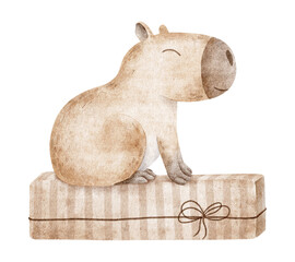 Capybara sit on brown gift box. Celebrates Birthday concepts featuring fluffy rodent. Hand drawn watercolor illustration of guinea pig for birthday cards, Christmas, posters and product packaging.