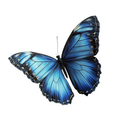 Obraz premium Majestic Blue Morpho Butterfly Wings Unfurled in Flight Serene Beauty