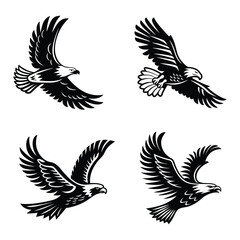 Obraz premium eagle flying on the sky