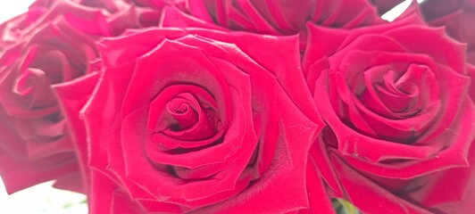 Bouquet of red roses, red rose
